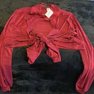 Plus Size Velvet Tie Front Crop Top Burgundy